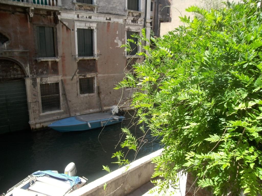Star Venedig